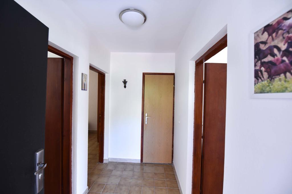 Vila Lucice Petrovac المظهر الخارجي الصورة
