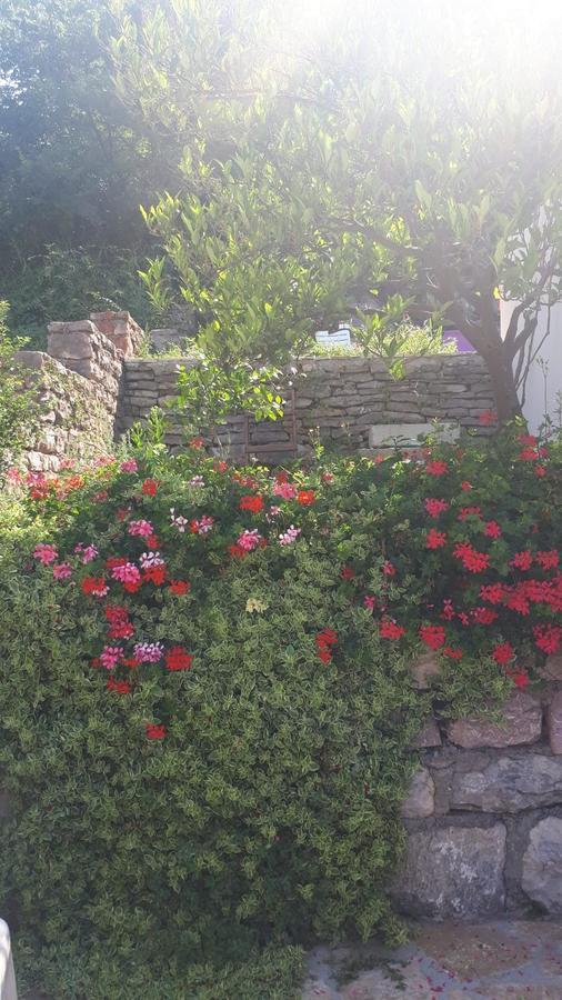 Vila Lucice Petrovac المظهر الخارجي الصورة